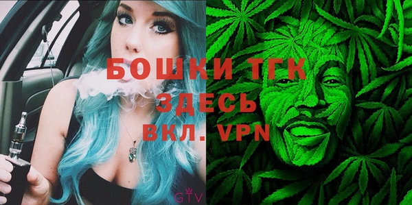 ГАЛЛЮЦИНОГЕННЫЕ ГРИБЫ Алексин