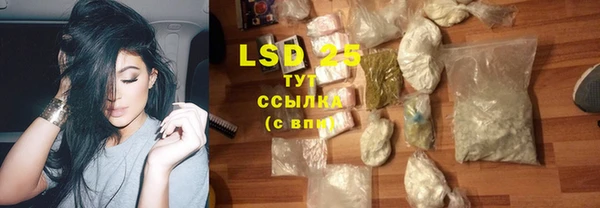 ГАЛЛЮЦИНОГЕННЫЕ ГРИБЫ Алексин