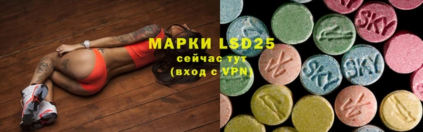 ГАЛЛЮЦИНОГЕННЫЕ ГРИБЫ Алексин