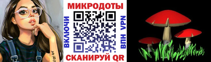 купить закладку  Чадан  Псилоцибиновые грибы Psilocybe 